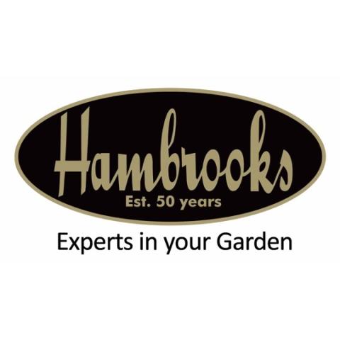Hambrooks Logo